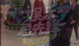 老挝浪子被爆料视频,揭秘其不为人知的私生活