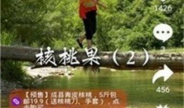 老吴爆料老林视频大全下载,老林视频大全下载全攻略