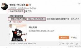 卓伟爆料动漫视频大全下载,动漫视频大全独家下载攻略揭秘