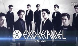 山东综艺台在线直播观看,精彩节目尽在掌握